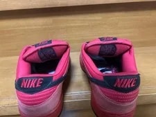9.0US Nike Sb Dunk Low Blood Devil 4