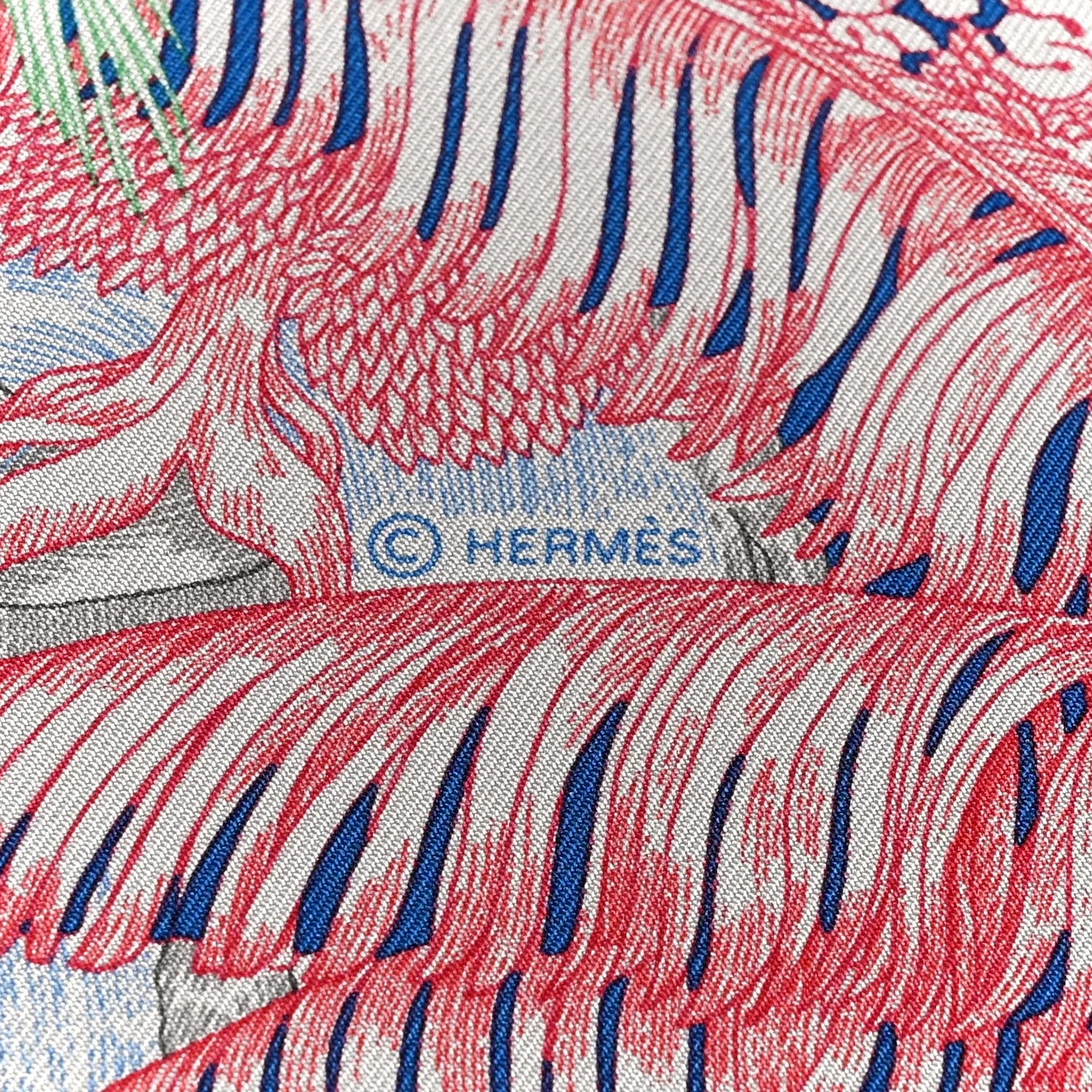 Faubourg Tropical Scarf 90 Pierre 4