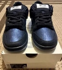 Nike Sb Dunk Bluetile 2