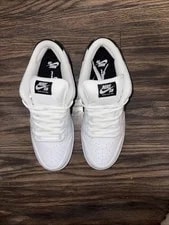 Size 10.5 Nike SB Dunk Low Pro 3
