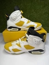Air Jordan 6 Retro Size 10.5 2024 CT8529-170 2