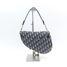 Dior Saddle T10427665 3