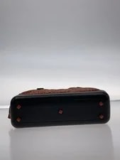 Bottega Veneta Pouch Animal 4