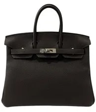 Hermes Birkin 25 Verso Ebene Palladium 2