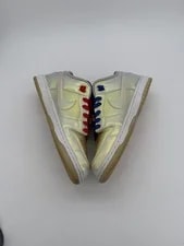 Nike SB Dunk Low Concepts Holy Grail (Replacement Box) 504750-140 10.5M/1 4