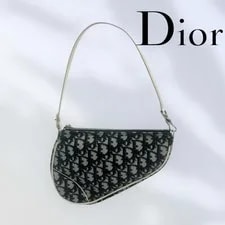 Christian Dior Bag Trotter Woman’s W25×D5×H16.5cm Auth R 2