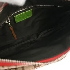 Christian Dior Rasta Messenger Diorissimo 3