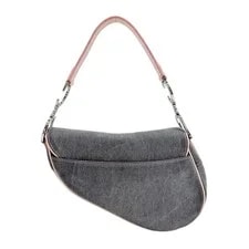 Dior Saddle Detail With 2
