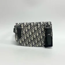Dior Saddle Embroidered #19JI 4