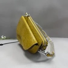 Christian Dior Authentic Saddle 2