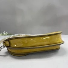 Christian Dior Authentic Saddle 4