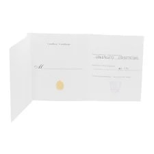 Cartier Ballon Bleu 33mm WE902077 3753 Steel 18k Rose Gold Card 3