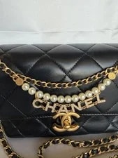 Chanel Quilted Logo Flap- Dust and Box! 3