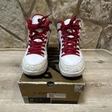 Nike SB Zoom Air Paul Rodriguez 2 Mid Top /Varsity 325022-161 3