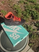 Nike SB Dunk High Safari Atomic 4
