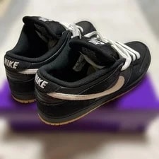 10.0US Nike Sb Dunk Low Pro With Box 3