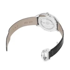 Cartier WSNM0015 ( 3930) 40mm Silver #WW6618 4