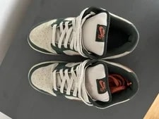 Nike SB Dunk Low Eire Low Top Lace-Up 4