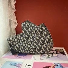 Auth Dior Saddle Crossbody 4