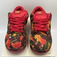 Nike SB Dunk Low the Wizard of Oz Field FZ1291-600 Size 11 New 2
