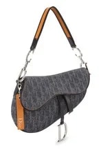 Christian Dior Trotter Remove Before Flight Saddle 2