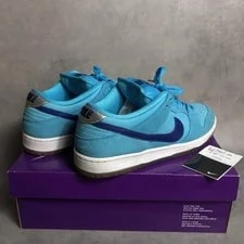 9.0US Gq3176 Nike Sb Dunk Low Pro Fury 2