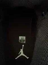 Air Jordan Dub Zero 3