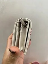 Gucci GG Marmont Apple Print Compact Wallet 2