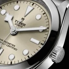 Tudor Black Bay Champagne Dial 41mm M79680-0003 4