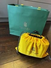 Goyard Muse Vanity Case New With All Tags and Dust 2