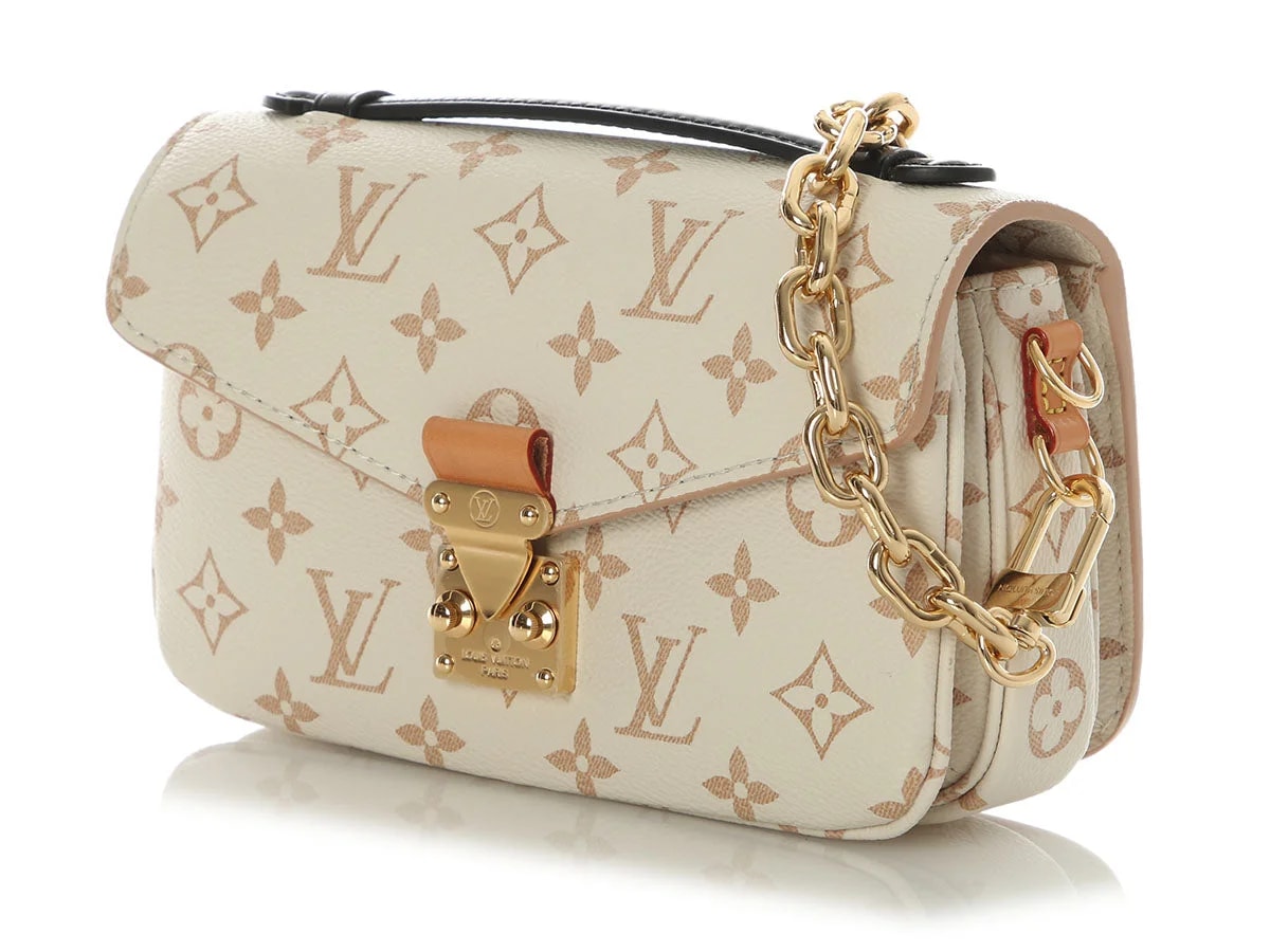 Louis Vuitton Dune Pochette Métis East West 3