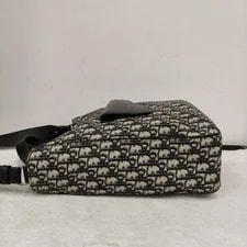 Dior Saddle With Embroidered #Spna 2