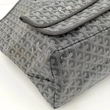 Goyard Sun Louis SKAI-0 3