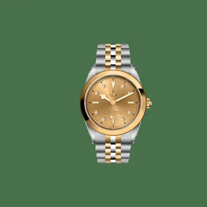 Tudor Black Bay One 41 S&G 2