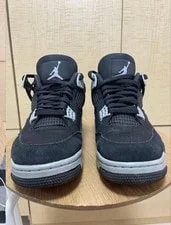 9.0US Air Jordan 4 Se and Light 2
