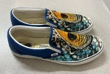 Vans X National Geographic Customs Salamander Limited Edition ’S 4