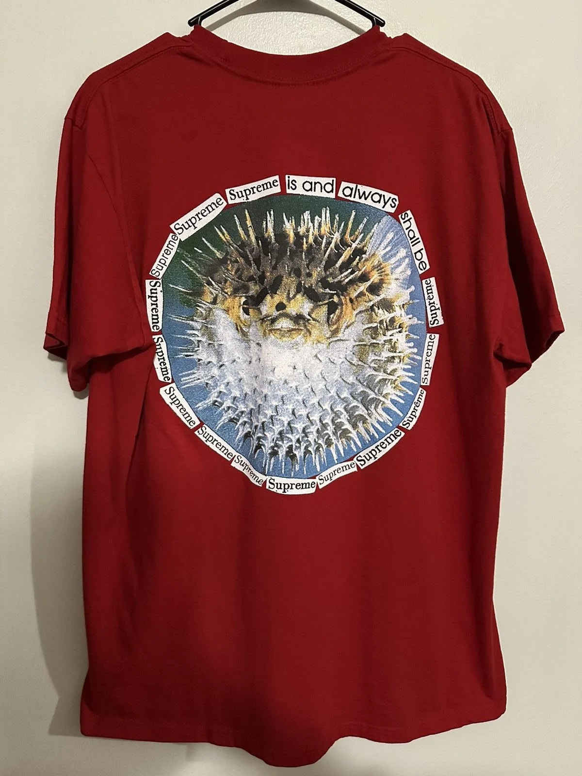 Supreme Blowfish Tee 3