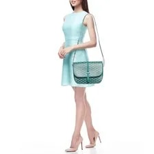 Goyard Belvedere II and Bags 2