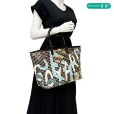 Goyard Saint Louis Lettres Camouflage Chevron Print 2