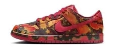 Size 9.5- the Wizard of Oz X Nike Dunk SB Low Field 2