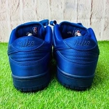 8.0US Extreme Model Nba Nike Sb Dunk Low Platform 3