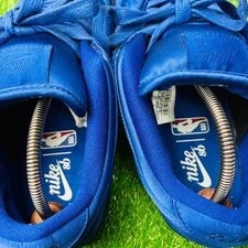 8.0US Extreme Model Nba Nike Sb Dunk Low Platform 4
