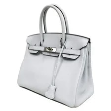 Hermes () Birkin 30 Trillon Pale Hardware Z Stamped 2021 FUJI-0 2