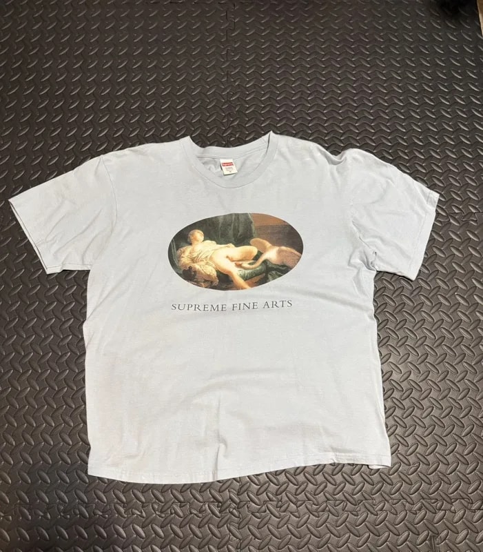 Supreme Leda and the Swan Tee 4