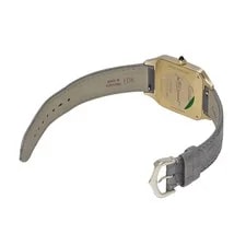 Cartier Santos WGSA0097 ( 4297) 43.5mm Yellow Gold Gray #WW10881 4