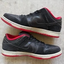Size 11 - Nike SB Dunk Pro Low 2