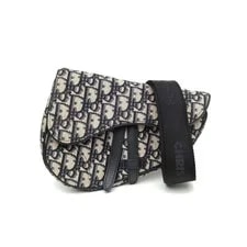 Dior Saddle Chest Crossbody 2