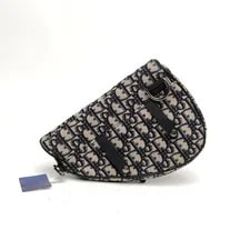 Dior Saddle Chest Crossbody 4