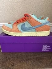 Nike SB Dunk Low Pro PRM Rise Size 10.5 DV5429 ’s 2