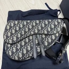 Dior S New Saddlebag From Japan 2